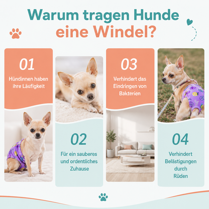 Hundewindel – Zuverlässiger Schutz für ein sauberes Zuhause