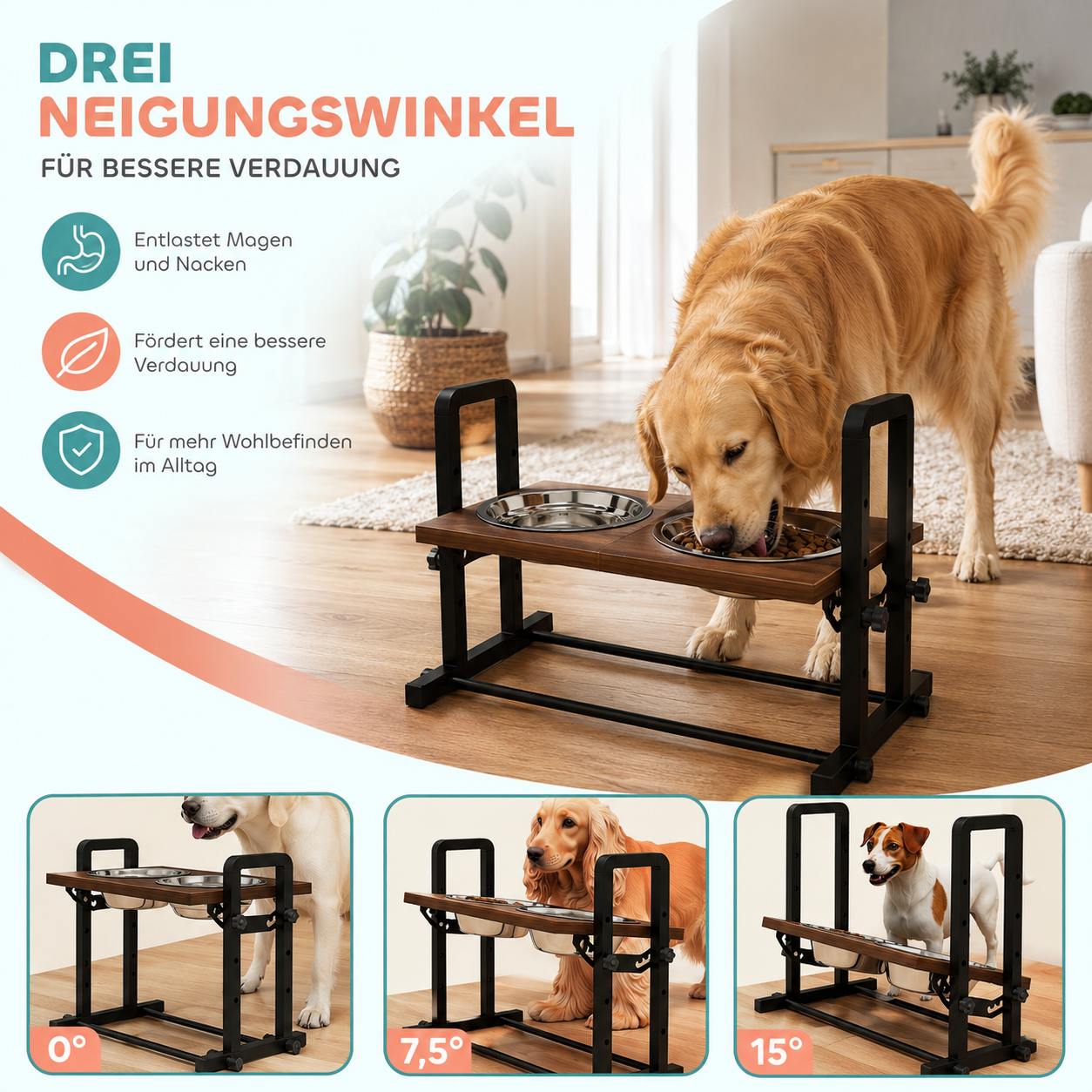 Höhenverstellbarer Futternapf – Ergonomisch füttern und Rücken entlasten