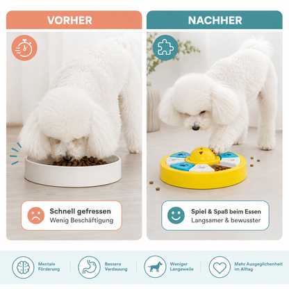 Anti-Schling Puzzle-Schüssel – Spiel, Förderung und langsameres Fressen