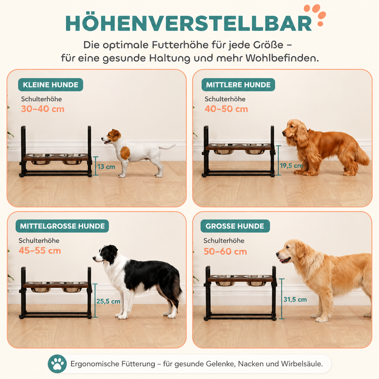 Höhenverstellbarer Futternapf – Ergonomisch füttern und Rücken entlasten